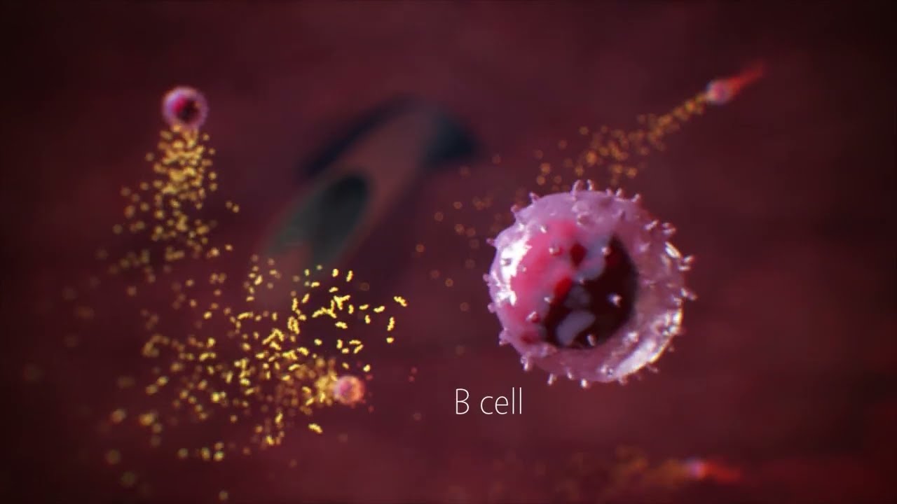 Health and Biotech Showreel - Creative Pipeline