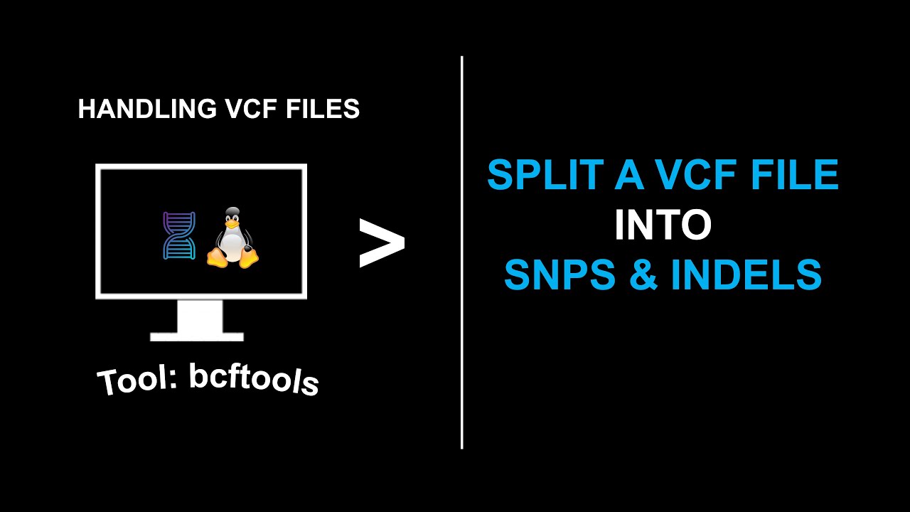 Split a VCF file into snps and indels using bcftools shortclip