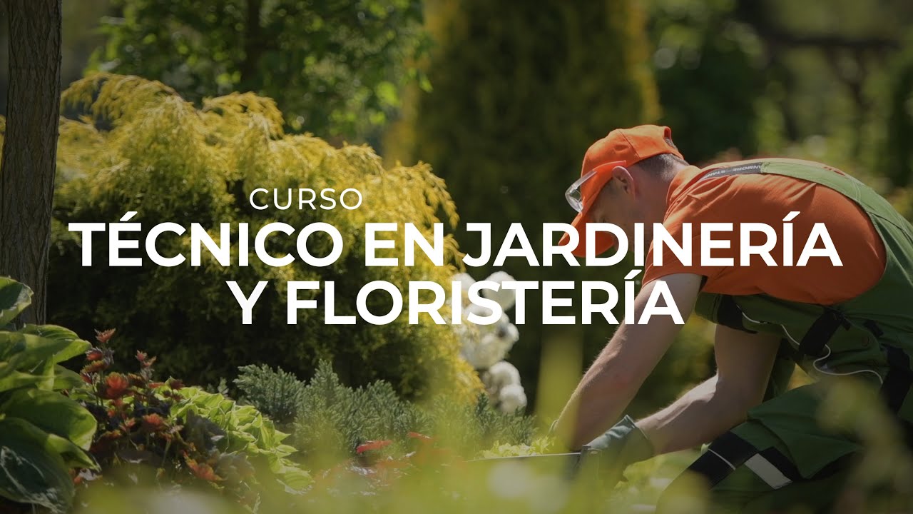 FP Técnico en Jardinería y Floristería Online 🌺👨‍🌾 @DavanteMasterd