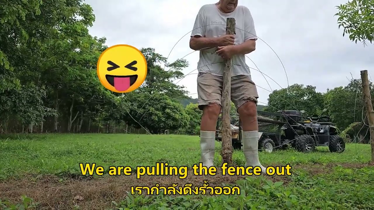 รื้อรั้วคอกวัวที่บ้านป่าตึงหลวงปู่หล้าออนใต้สันกำแพงเชียงใหม่