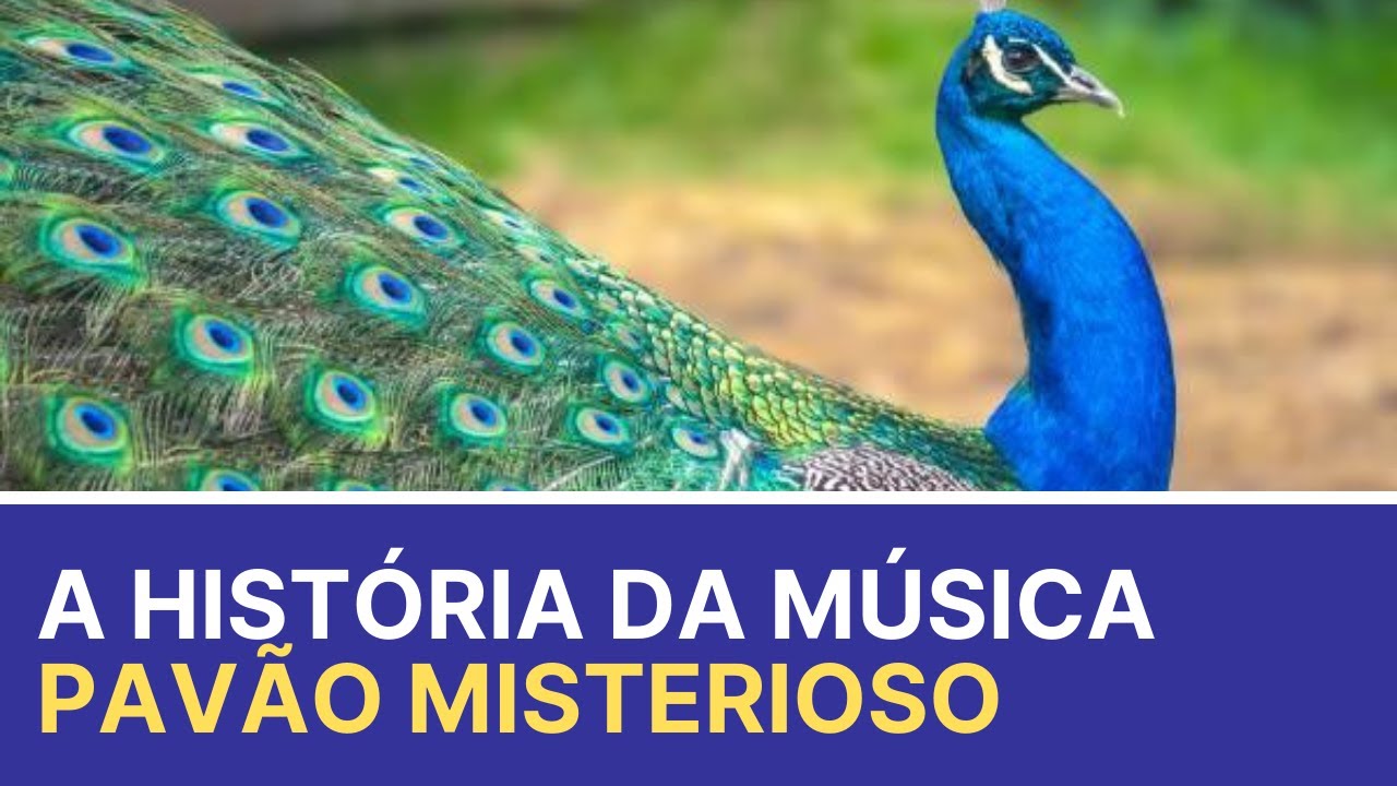 Pavão Misterioso: Descubra a Verdadeira História da Canção