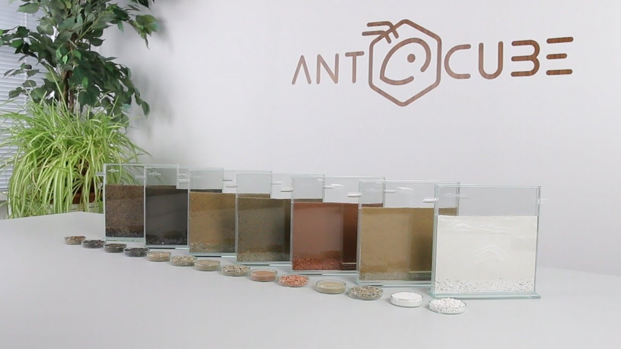 ANTCUBE Bodensubstrate für das Formicarium