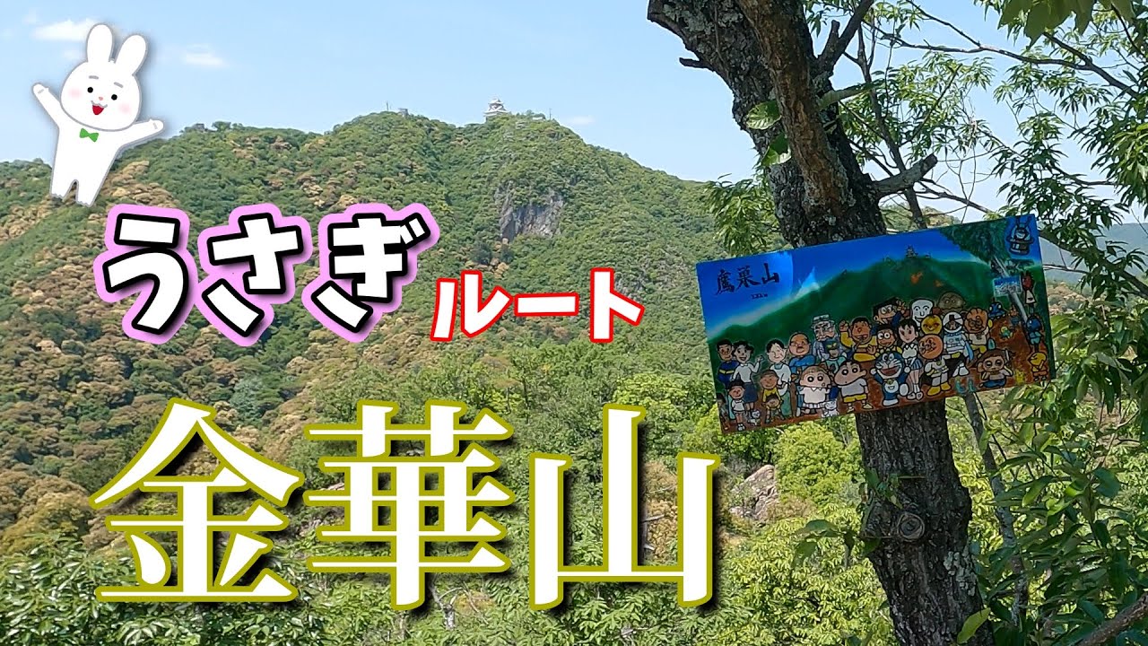 岐阜市　金華山を【うさぎコース】で登りました　#金華山#岐阜城#鷹巣山