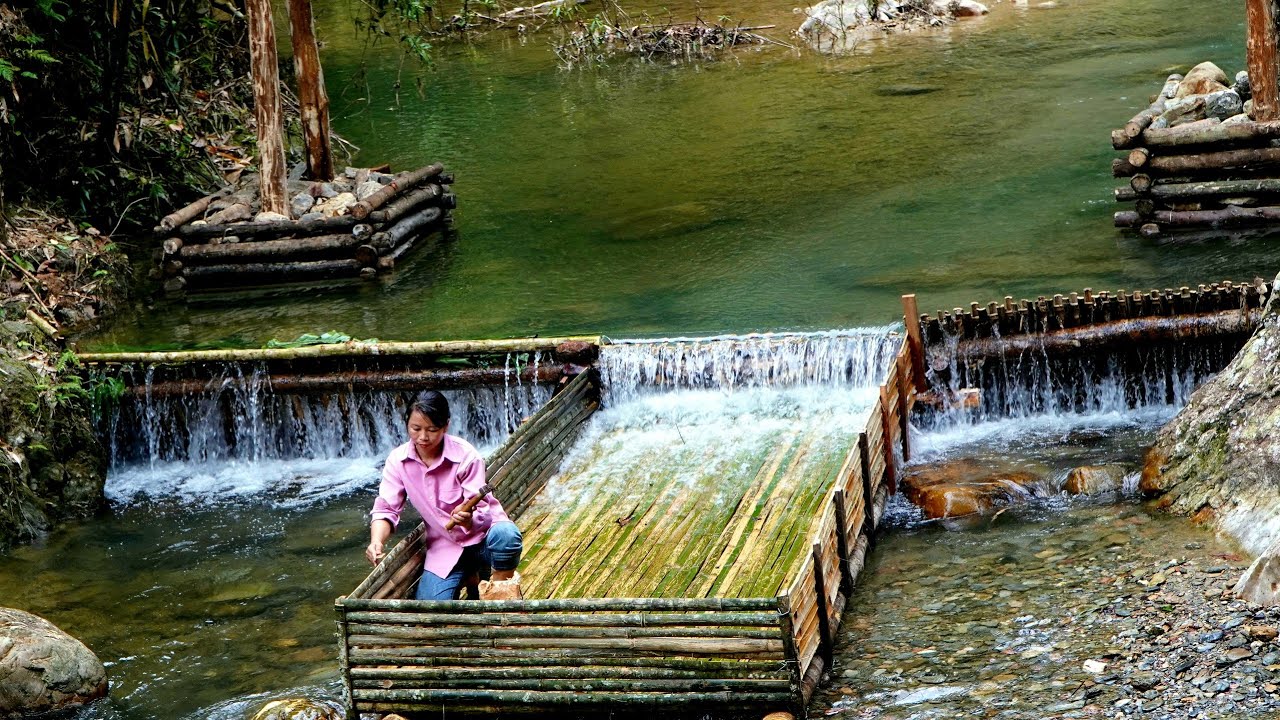 Building a bamboo fish trap for sustainable fishing | Traditional fish trap