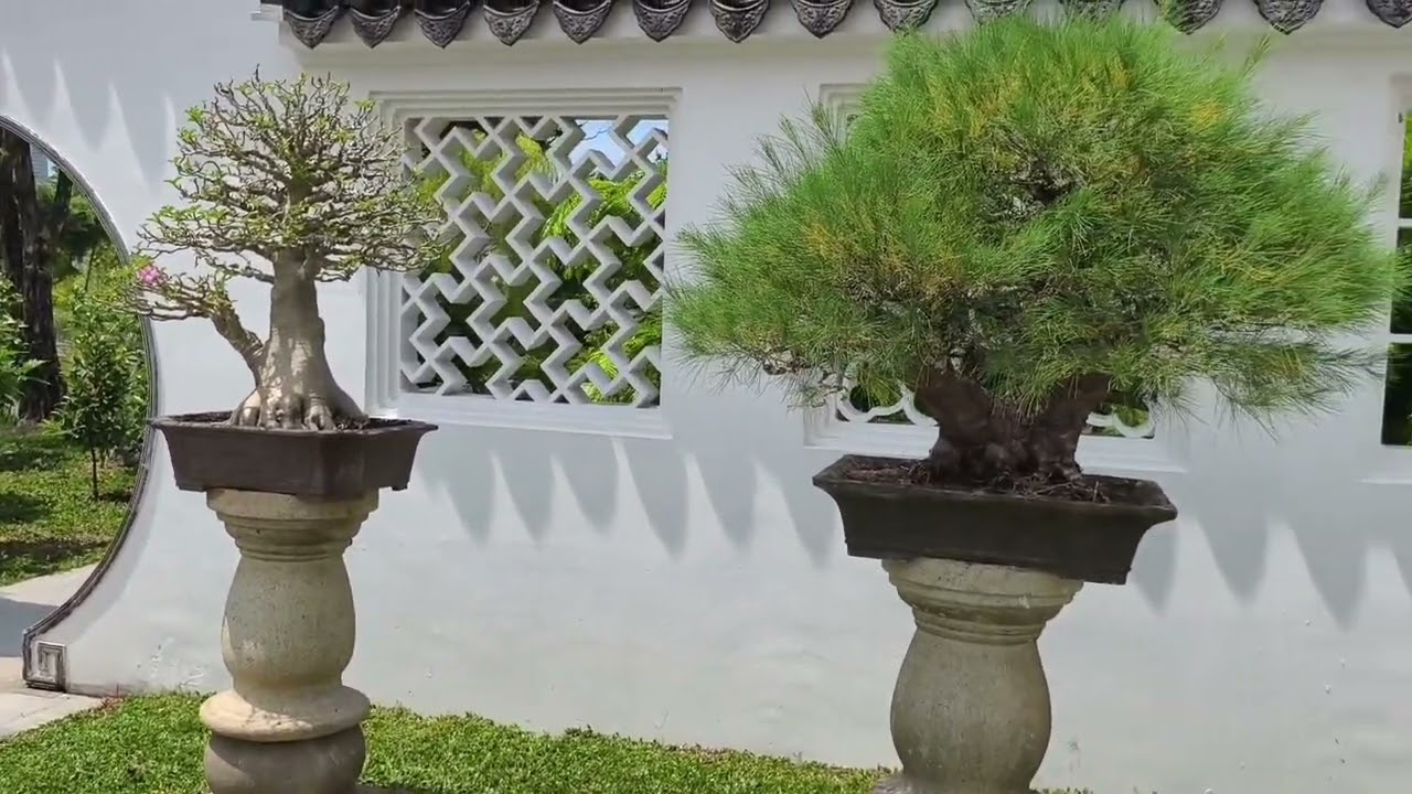 CHINESE GARDEN SINGAPORE AUG 2025 #mrtenny #travel #dothingsyoudontwanttodo #singapore
