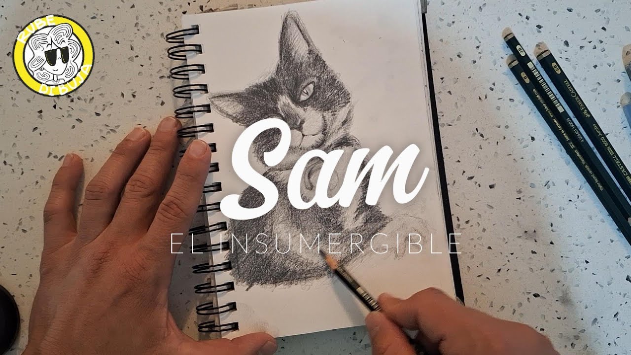 Sam, el gato que sobrevivió a 3 naufragios