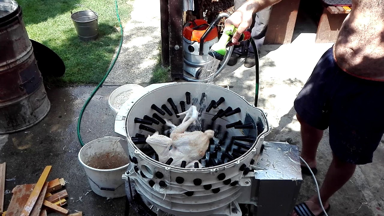 Chicken clean cistenie hydiny