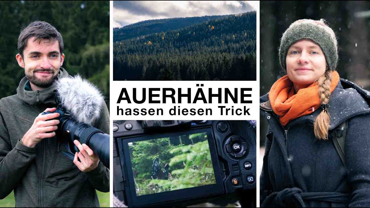 Naturfotografie im Schwarzwald | mit 