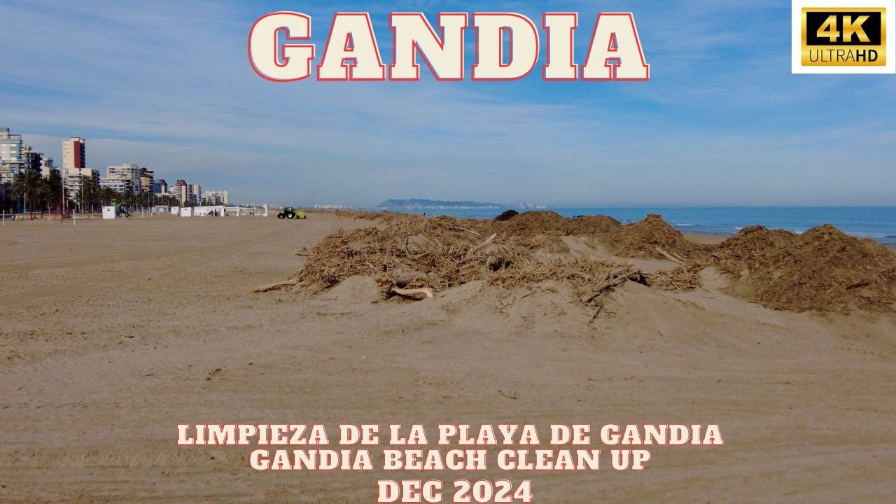 Limpieza de la Playa de Gandia Después de las tormentas DANA Gandia Beach Clean Up After DANA Storms