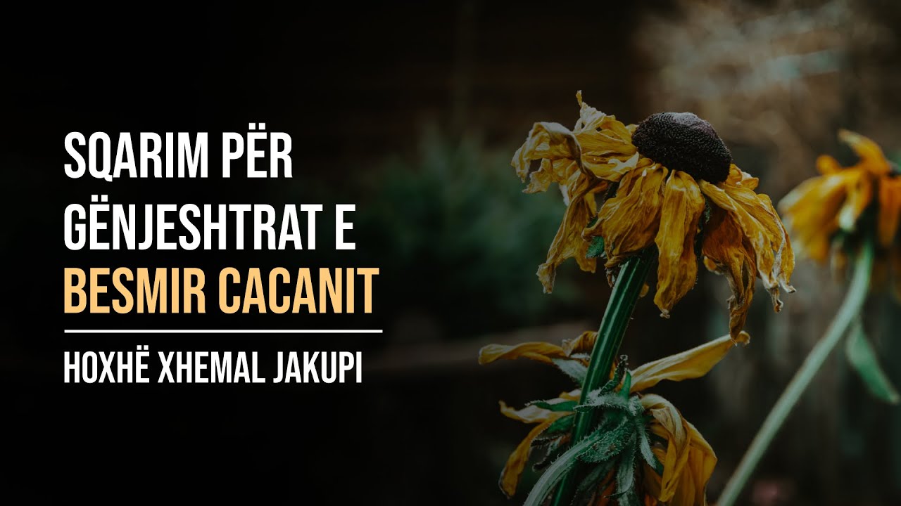 Sqarim për gënjeshtrat e Besmir Cacanit Hoxhë Xhemal Jakupi