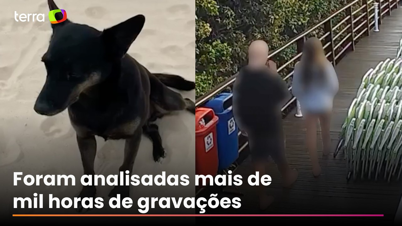 Polícia Civil de SC conclui inquérito sobre morte do cão Orelha e pede internação de adolescente