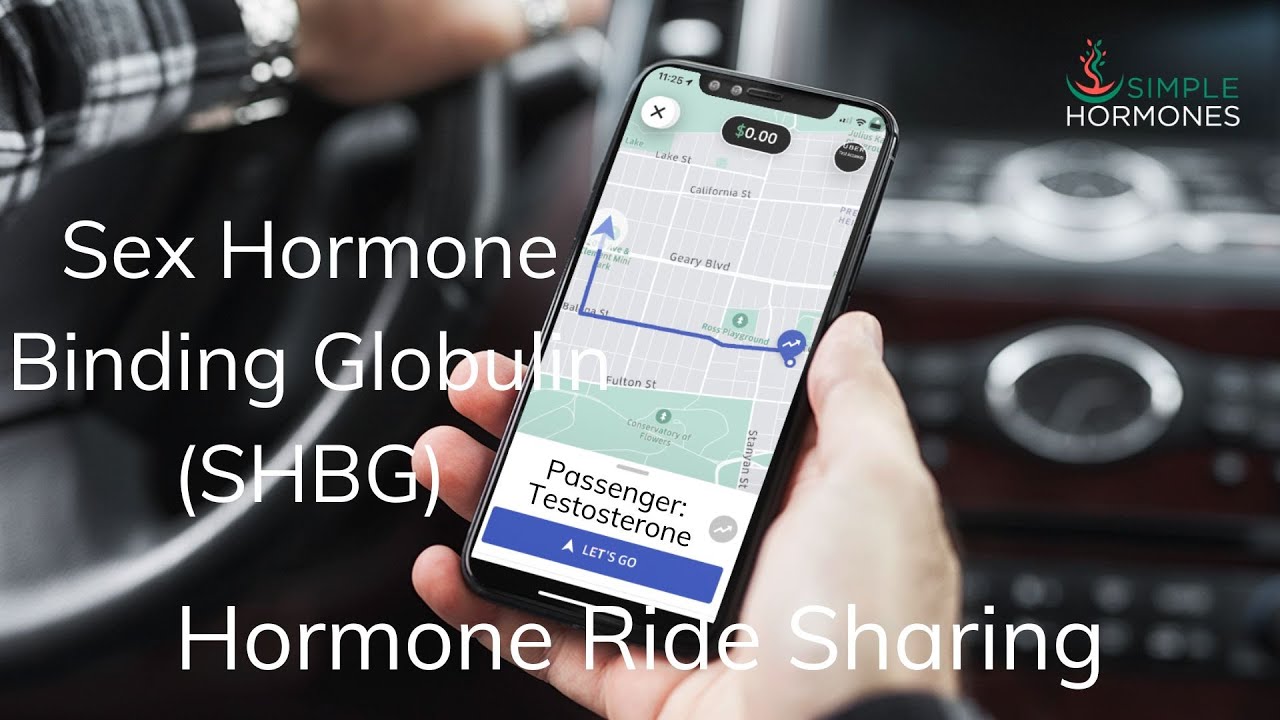 SHBG: The Hormone You Didn't Know You Had