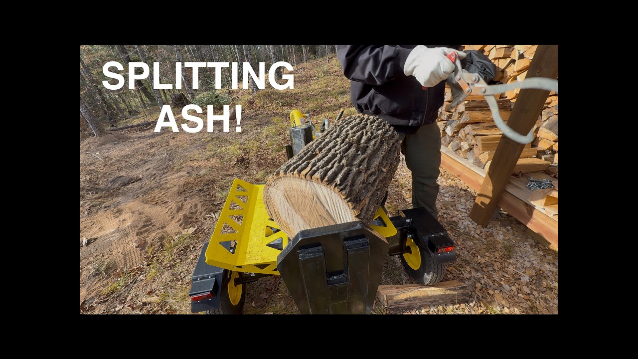 Splitting Ash! | Champion Log Splitter | 27 ton