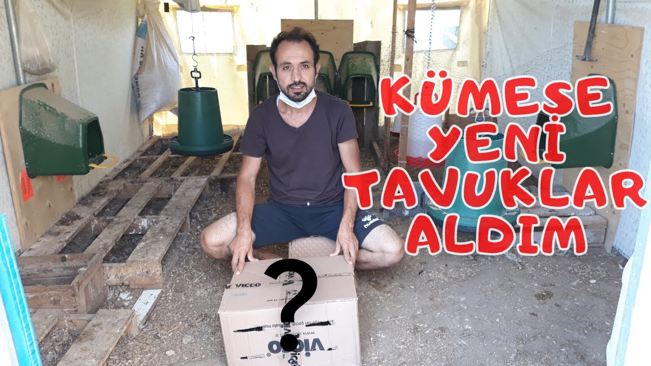 Kümesimizin Yeni Üyeleri | Ataks Yarka