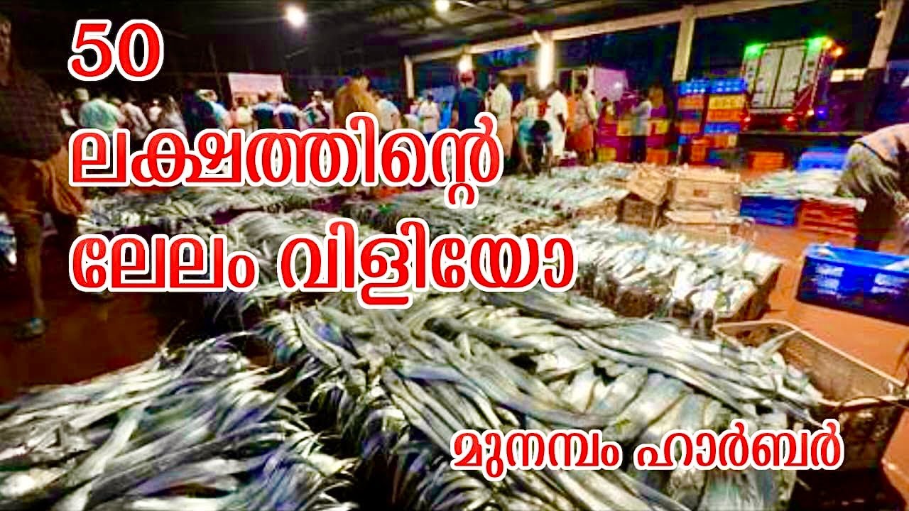 50 ലക്ഷത്തിന്റെ മീൻ ലേലം വിളിയോ/ മുനമ്പം ഹാർബറിലെ ഞെട്ടുന്ന ലേലം വിളി /50 lakh fish was auctioned