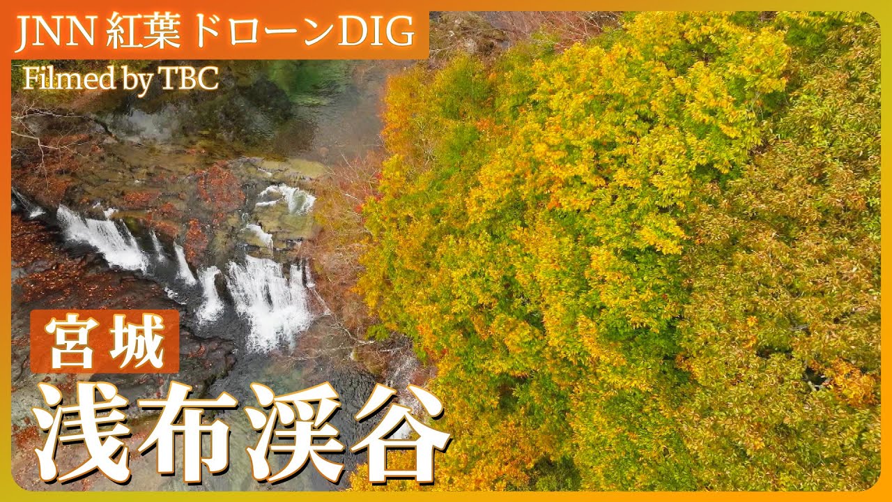 栗原市・浅布渓谷の紅葉【JNN 紅葉ドローンDIG 2024】｜TBS NEWS DIG