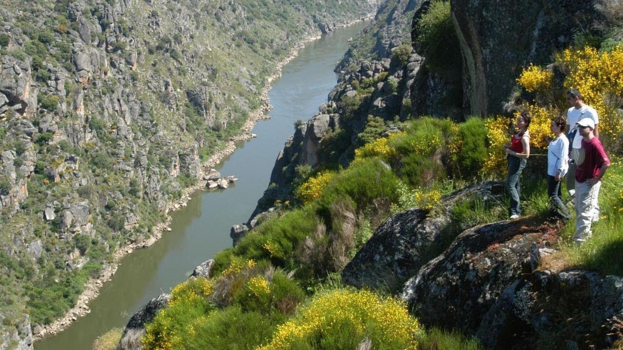 Orgullo Rural, Bermellar, Spain