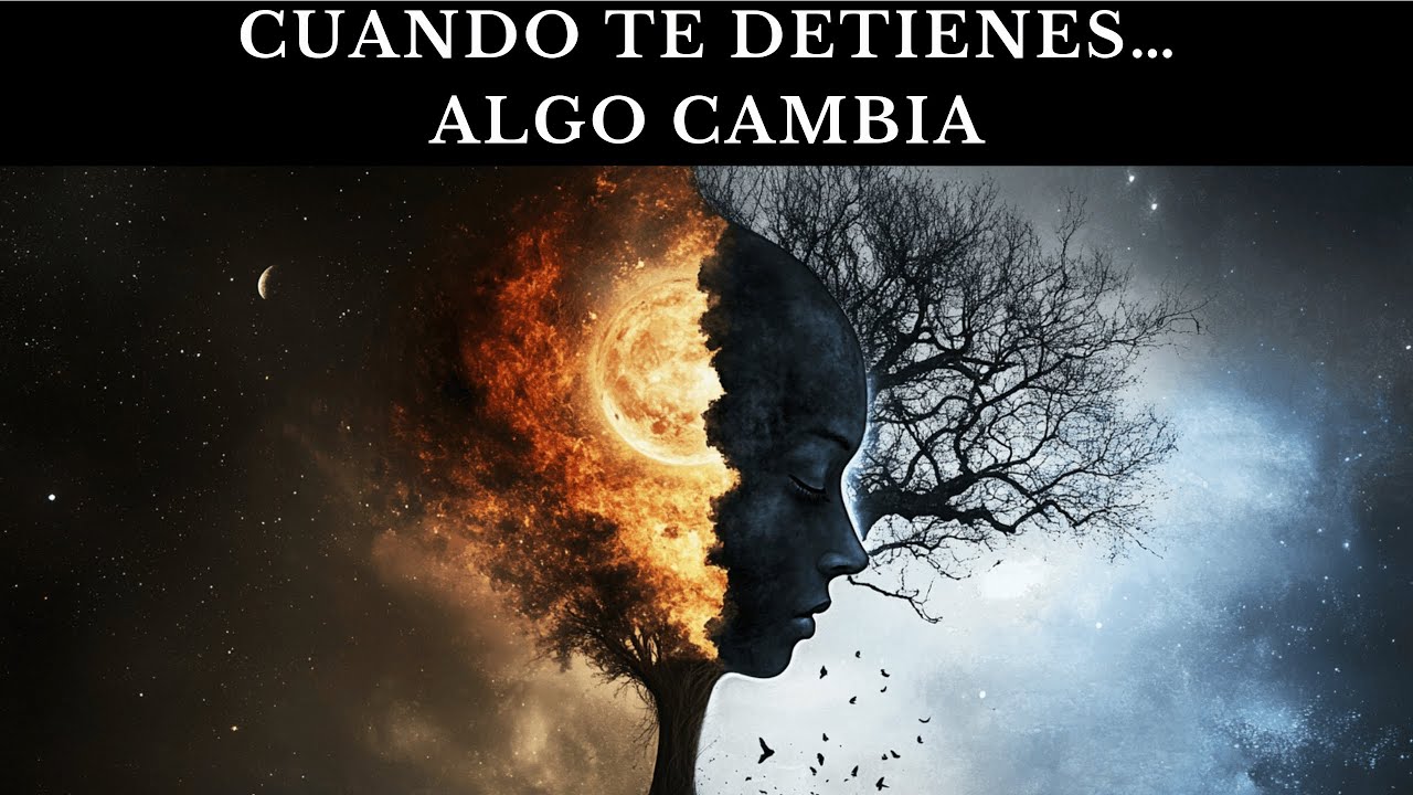 Qué sucede cuando dejas de perseguir: Psicología del Apego y autorregulación
