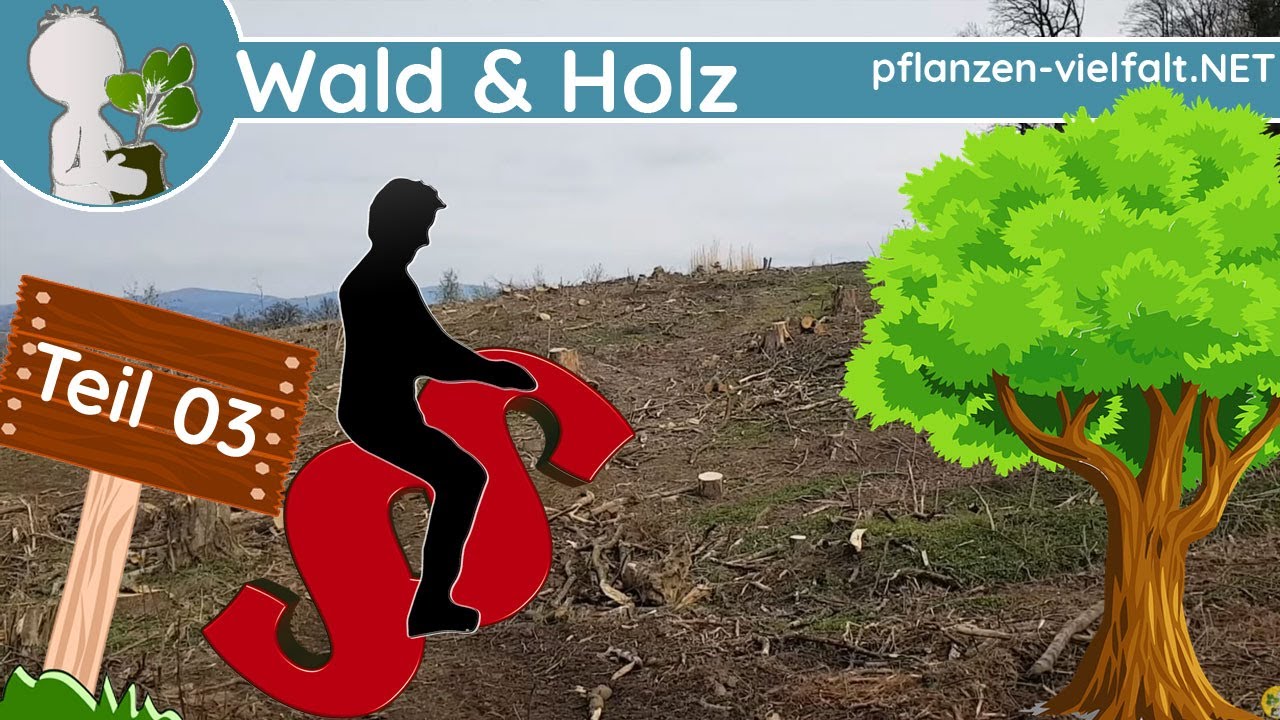 🌲🌳 Teil 03 - Definition 