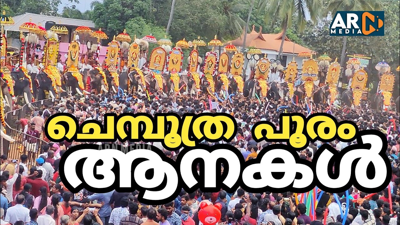 ഗജവീരന്മാരുടെ മാസ്സ് എൻട്രിയുമായി ചെമ്പൂത്ര പൂരം | Chemboothra Pooram Elephants