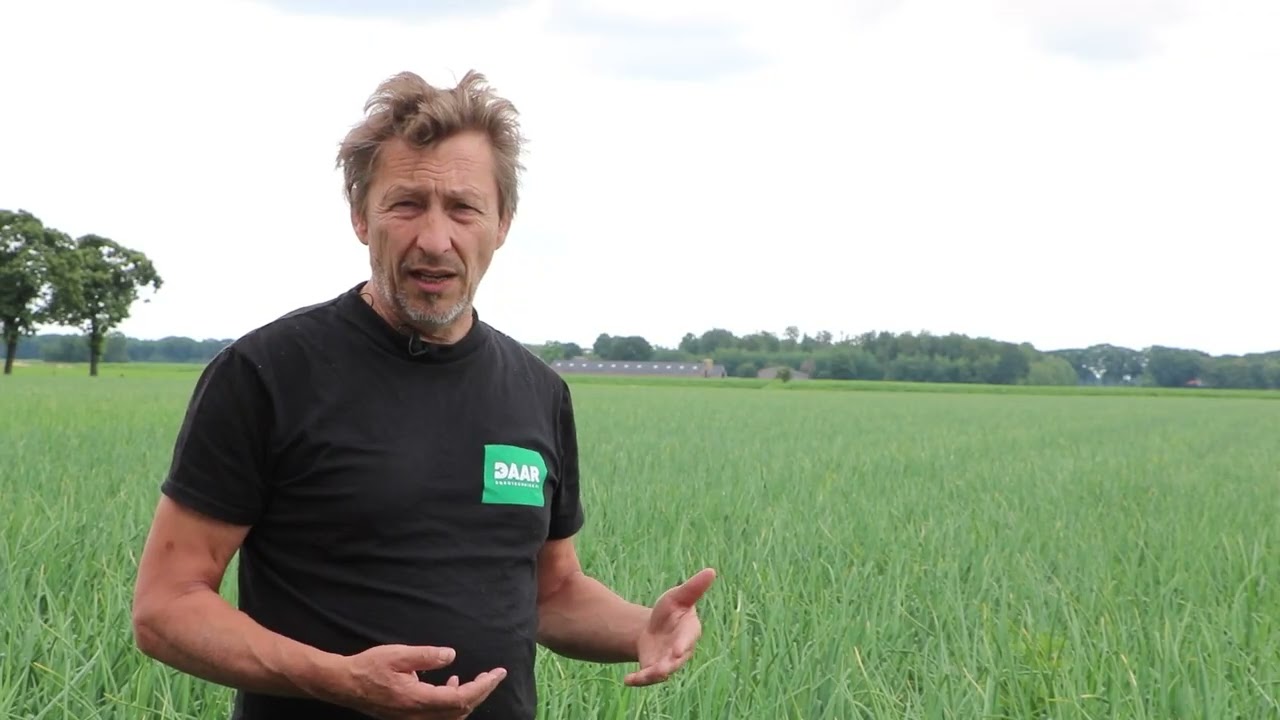 Brabant Bemest Beter - Wat is druppelirrigatie?