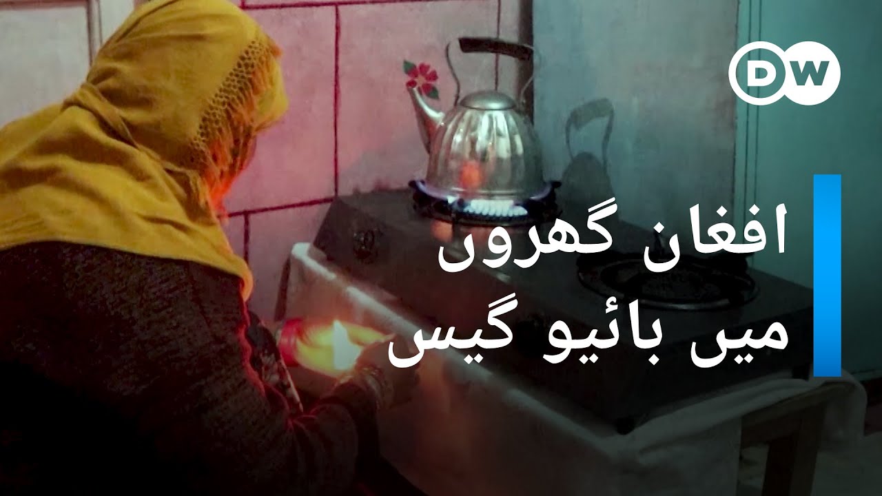 افغان گھروں میں چولہے بائیو گیس سے جلنے لگے | DW Urdu