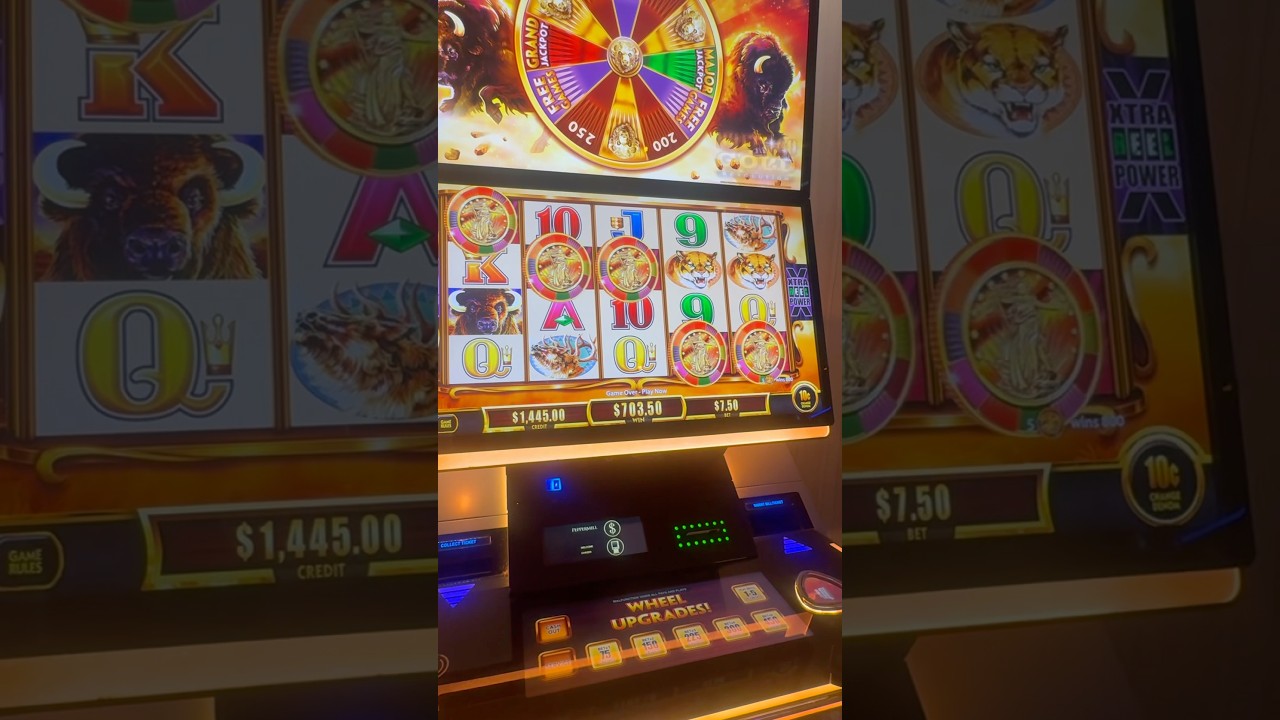 СУПЕР РЕДКИЕ 5 МОНЕТ В ИГРОВОМ АВТОМАТЕ BUFFALO GOLD REVOLUTION!! #слоты #казино #джекпот #азартн...