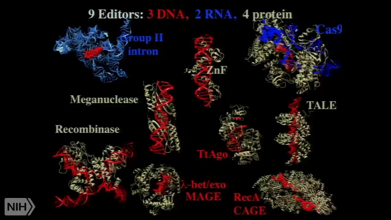 The future of genetic codes and BRAIN codes