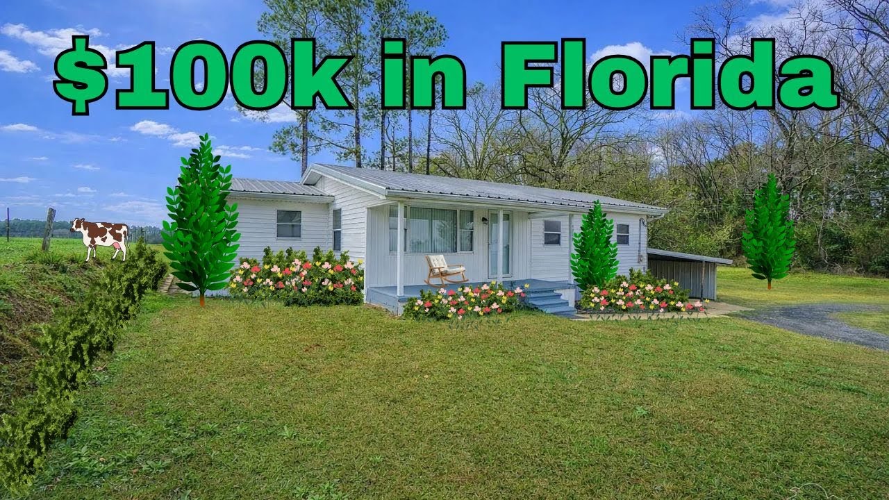 $100k House in Florida with Land!