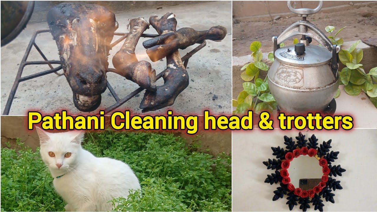 Pathani Siri Paye Cleaning & Cooking🫠|Pathani Busy Day |PathaniTSG 