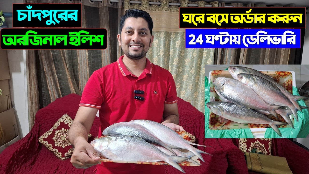 সরাসরি চাঁদপুর থেকে ইলিশ মাছ/ইলিশ মাছের দাম/ilish fish price in bd 2024/Chandpur Hilsa Fish Price BD