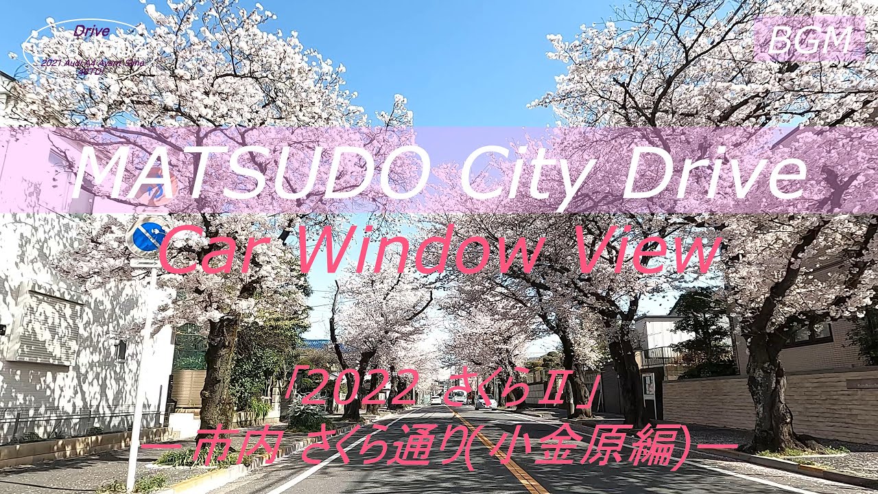 Matsudo city Drive【2022桜Ⅱ】4K