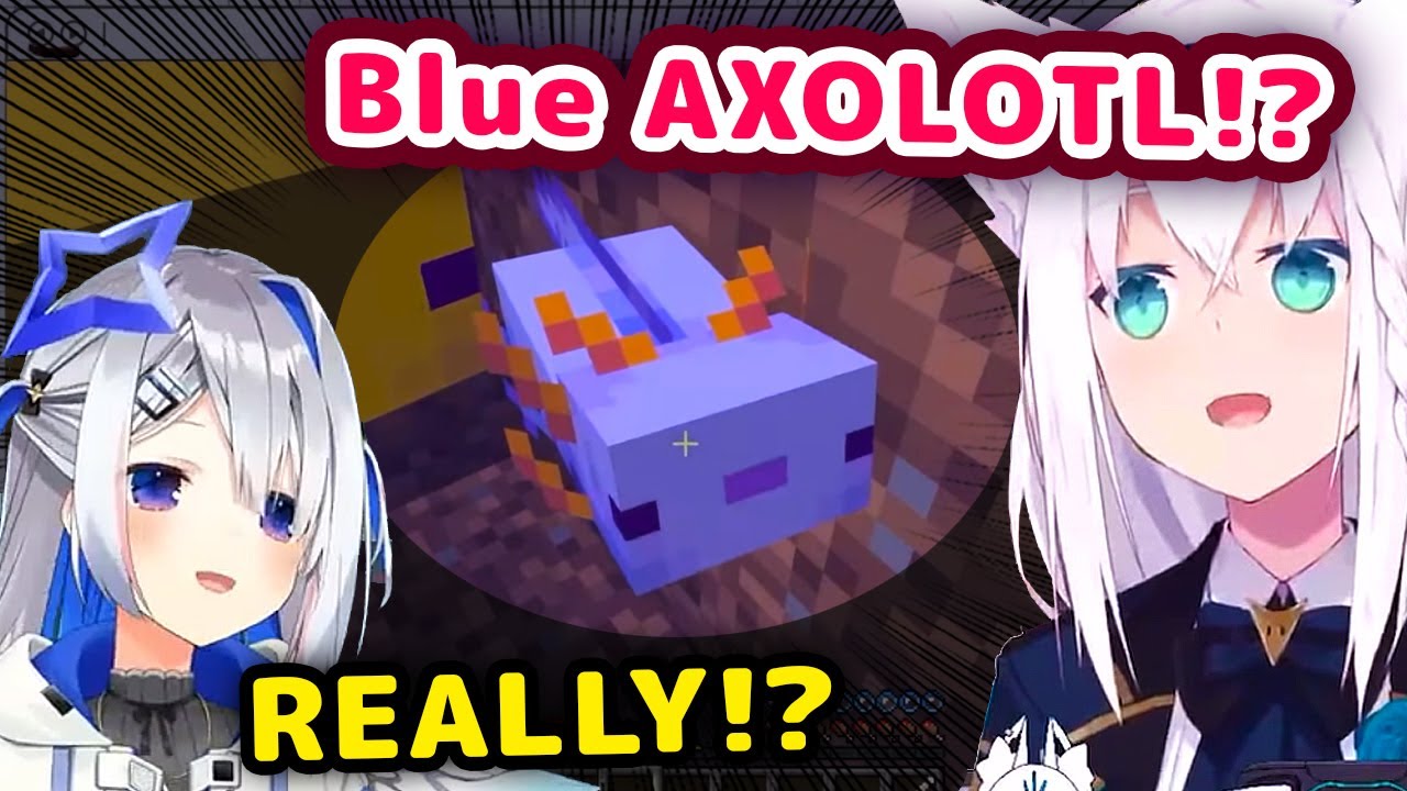 Fubuki Got Blue Axolotl Before Kanata Who Streamed 10 Hours To Get One【ENG Sub/Hololive】