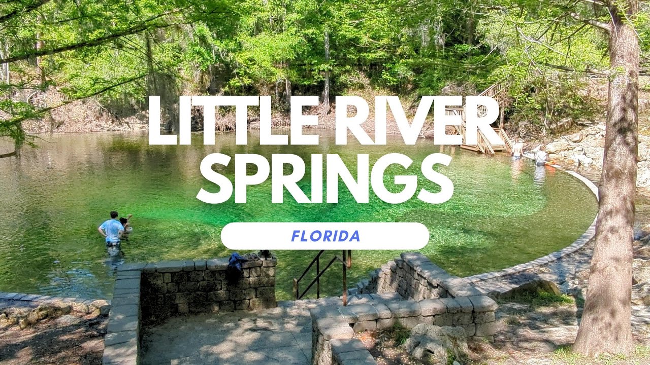 Little River Springs in Suwannee County, Florida  #suwannee #springs #outdoors