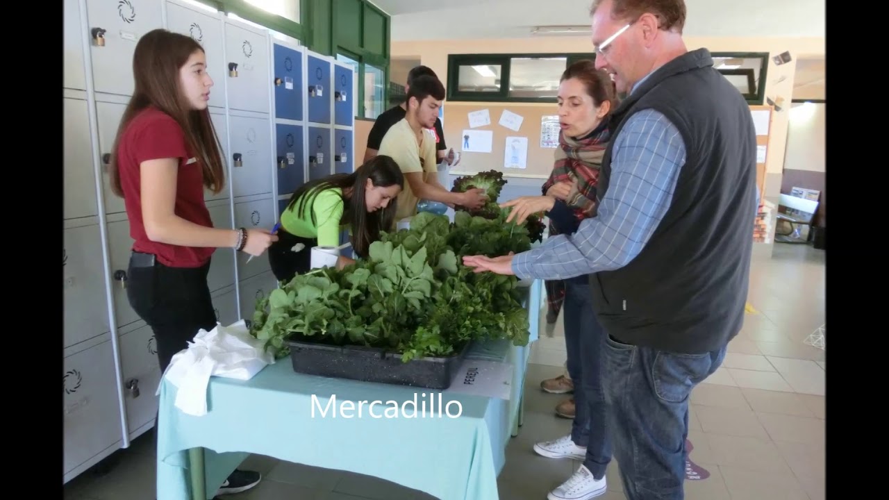 Huerto Escolar IES Arico 2019-2020