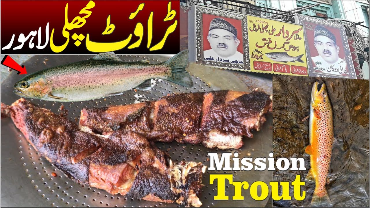 #mission #trout Fish in Lahore -  Haji Sardar Machli - حاجی سردار مچھلی - #streetfood