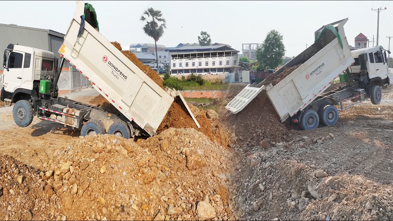 Amazing Work!!Bulldozer SHANTUI C3 Push Stone And DumpTruck 10+6Wheel Unloading Stone Filling Land