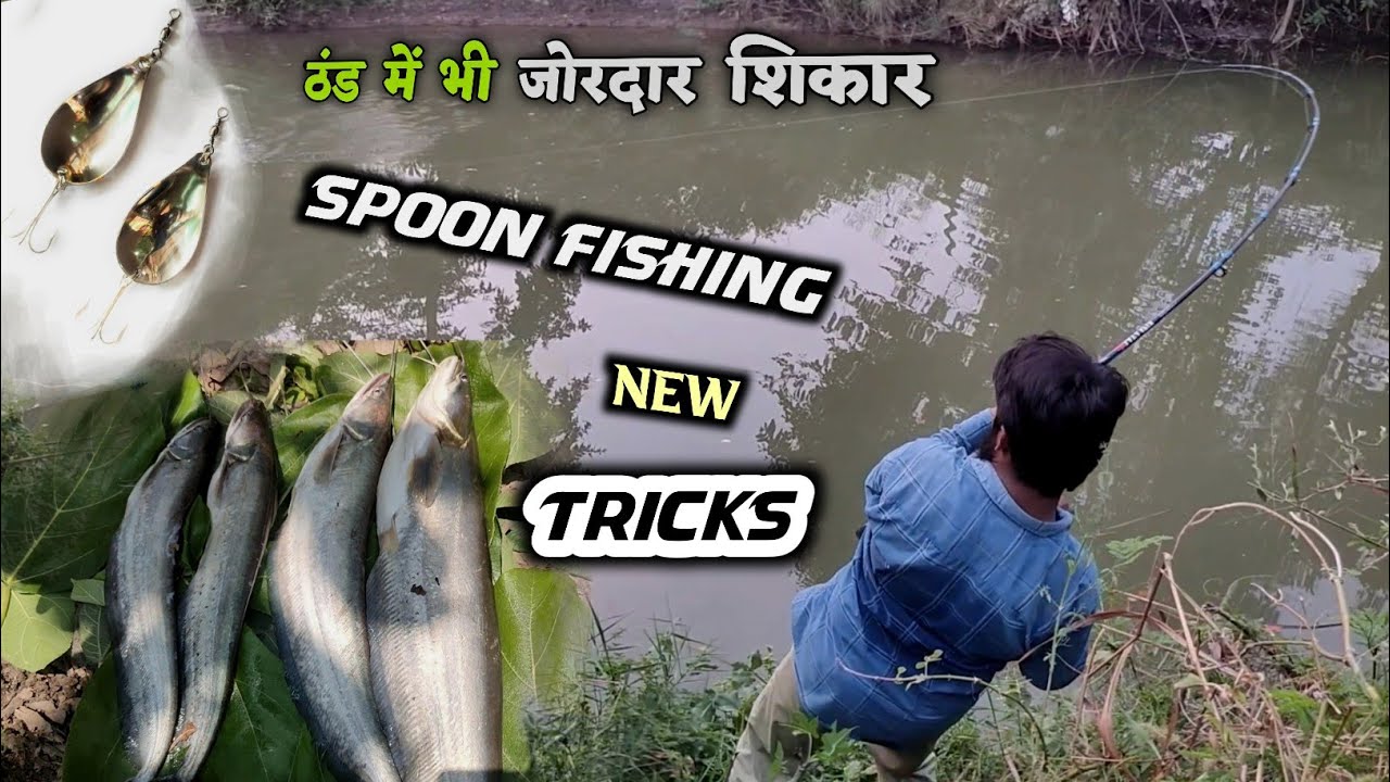 ठंड में भी जोरदार शिकार Spoon Fishing New Tricks Wallago Attu Fishing Big Patan Fish Fishes Fishing