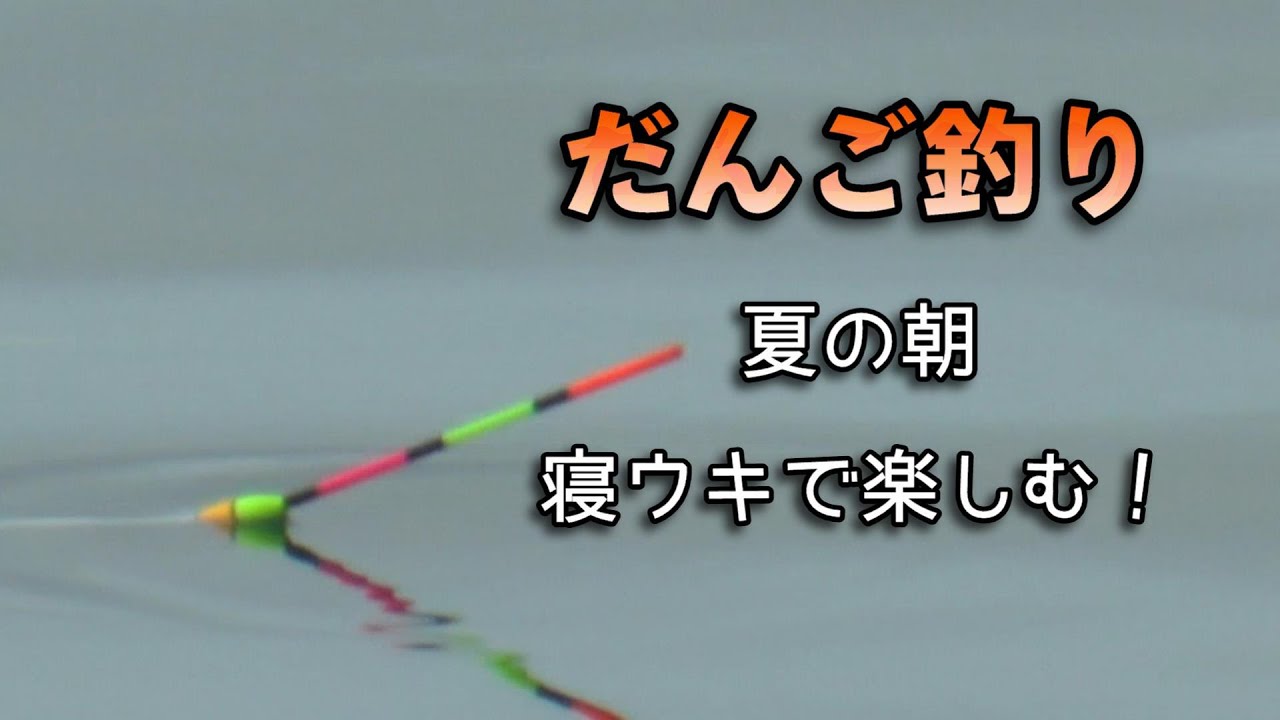 黒鯛を寝ウキだんご釣りで狙う真夏の朝
