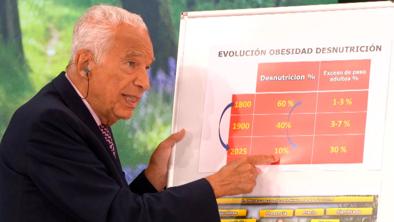 La obesidad a lo largo de la historia: c&oacute;mo sube a&ntilde;o a a&ntilde;o, en un informe del Dr. Cormillot