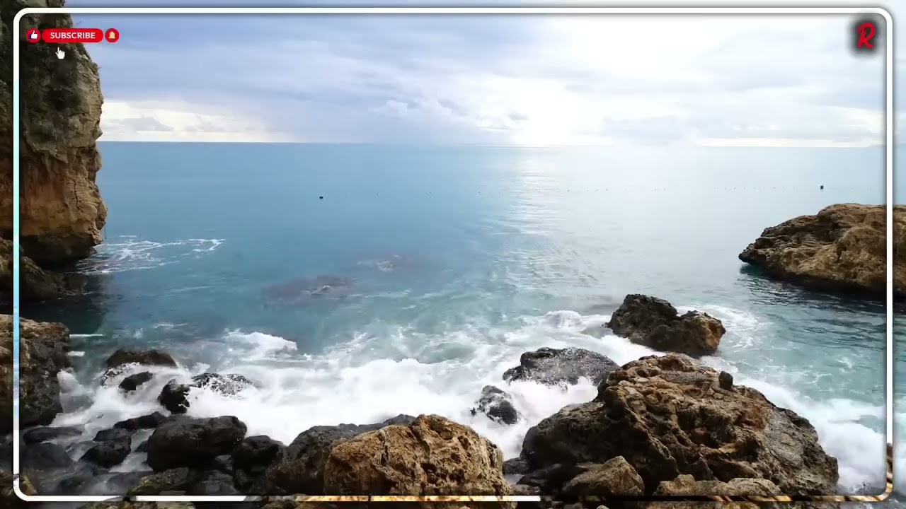 parasita de 31 anos finalmente foi embora