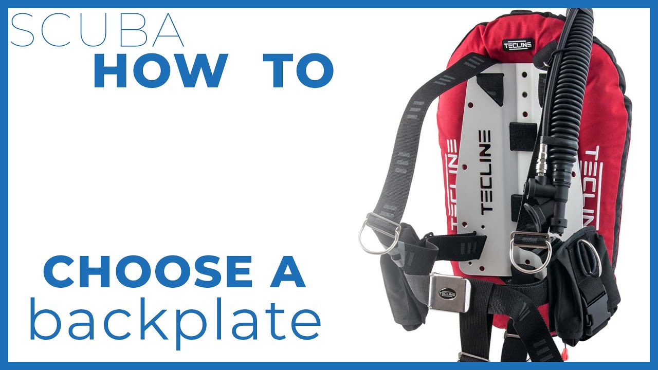 Should You Switch to a Backplate BCD? Best Guide for Divers!