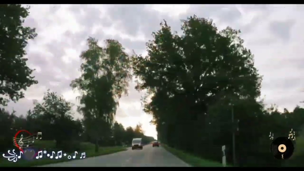 Она привыкла жить одна...