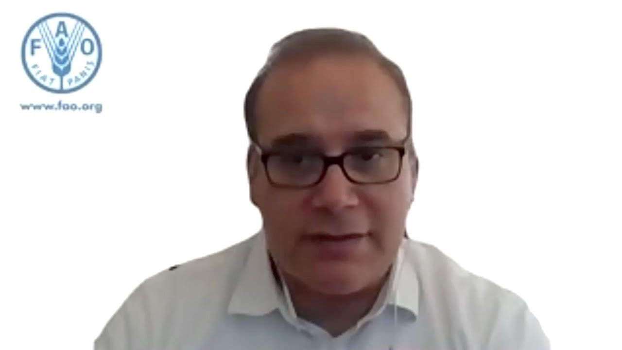 FAO: No food shortage, but a disruption to the global food supply chain