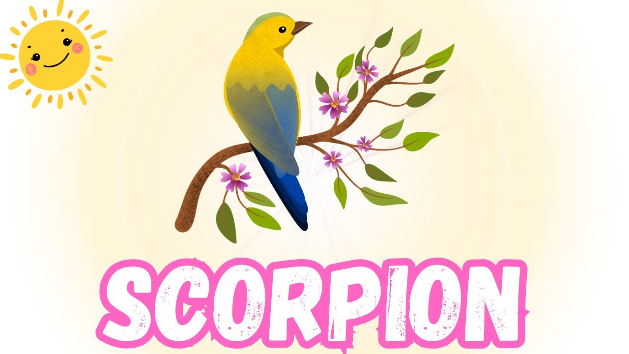 SCORPION💎 Attention‼️ Demain déclenche un changement radical et libérateur 🥰✨