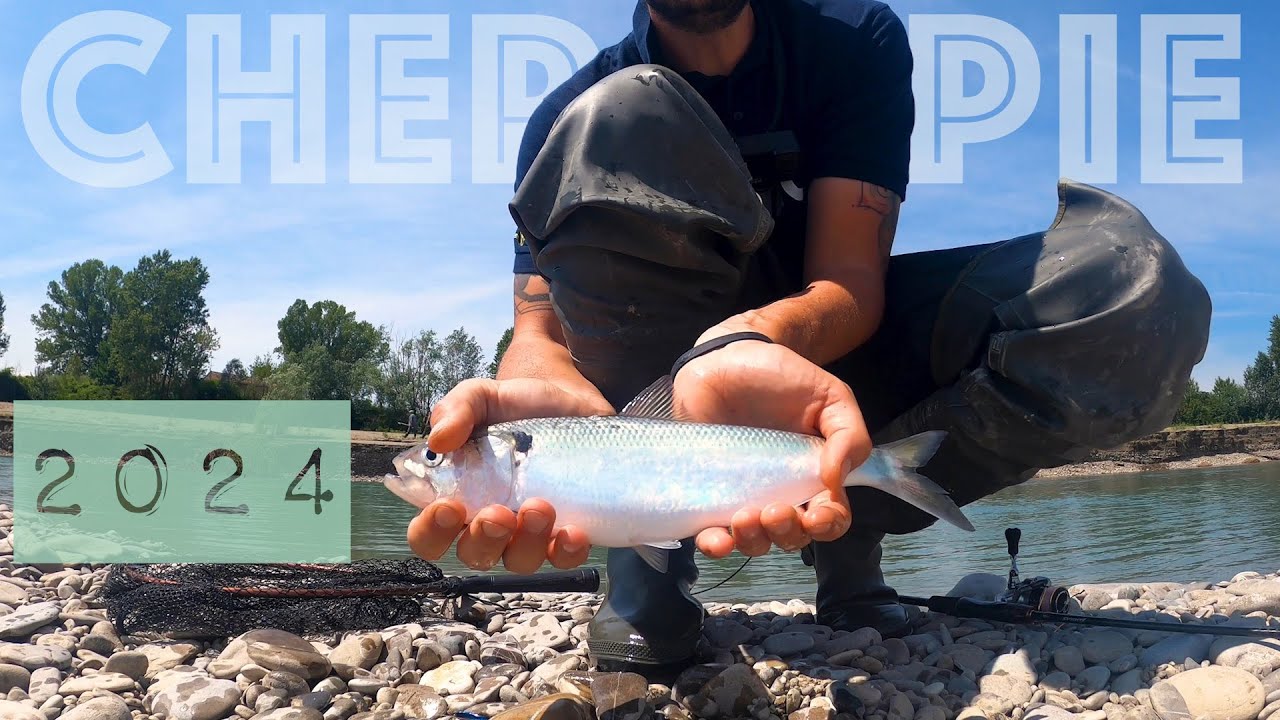 pesca spinning alle cheppie nel fiume Taro 2024
