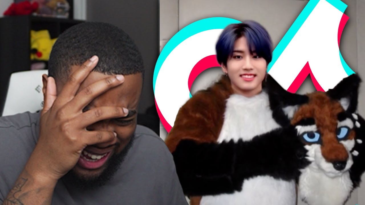 kpop tiktoks that made my cat bark! *in spanish but I don't speak spanish*