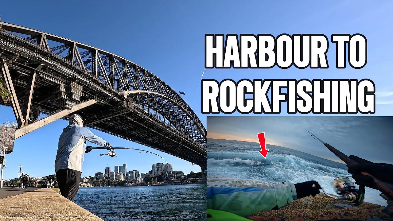 Harbour to Rock fishing &ndash; The Struggle Was Real
