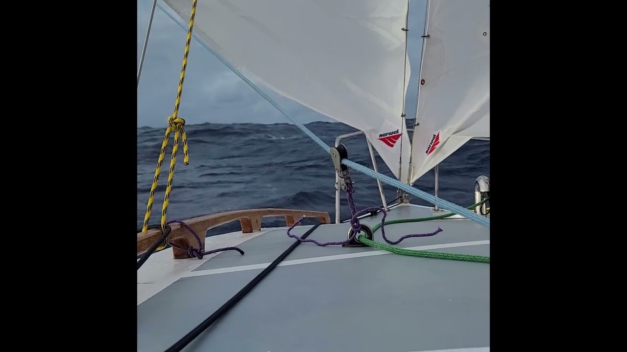 Jacht Setka Ancymon - ocean - downwind