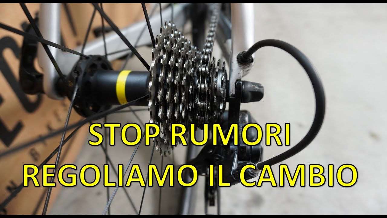 Regolare il cambio in caso di catena rumorosa: cambiate perfette e silenziose.